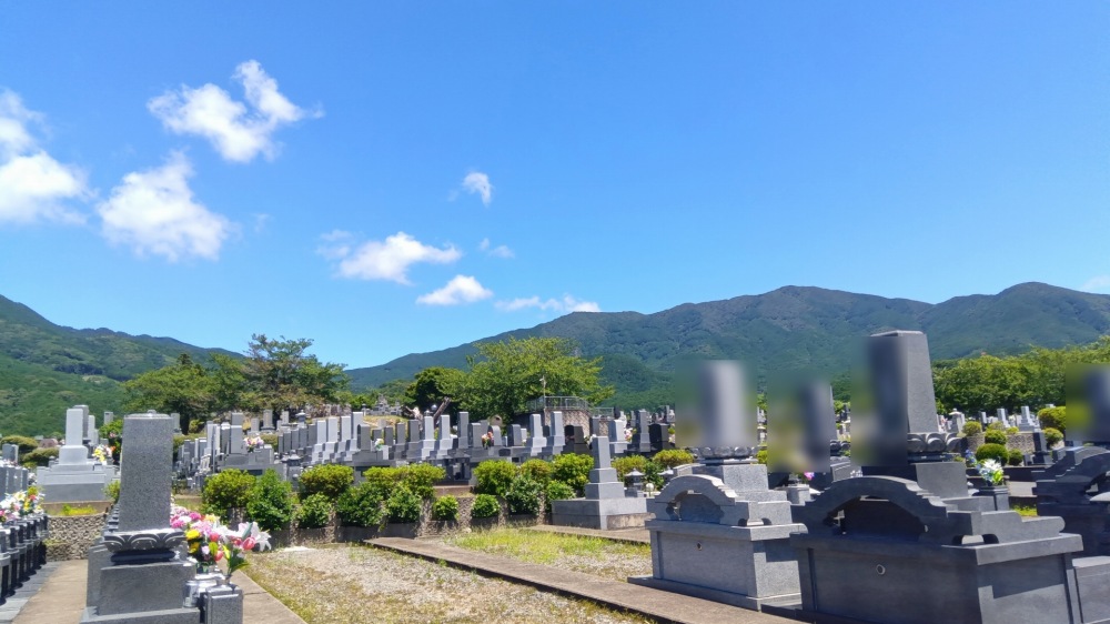 各種代行業務・お墓参り､等